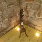 Alojamento de Acomodação e Pequeno-almoço Chateau Les Cedres Bretteville-l'Orgueilleuse