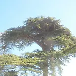 Chateau Les Cedres Alojamento de Acomodação e Pequeno-almoço Bretteville-l'Orgueilleuse