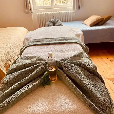 Chateau Les Cedres 4*