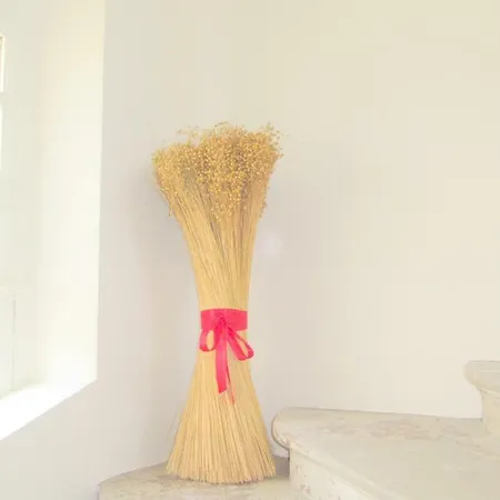 Bed and Breakfast Chateau Les Cedres Bretteville-l'Orgueilleuse