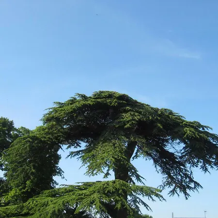 Chateau Les Cedres 4* Bretteville-l'Orgueilleuse