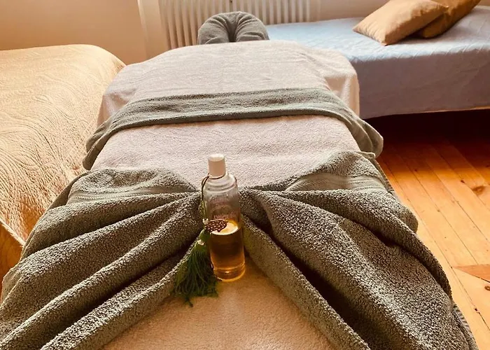 Chateau Les Cedres 4*