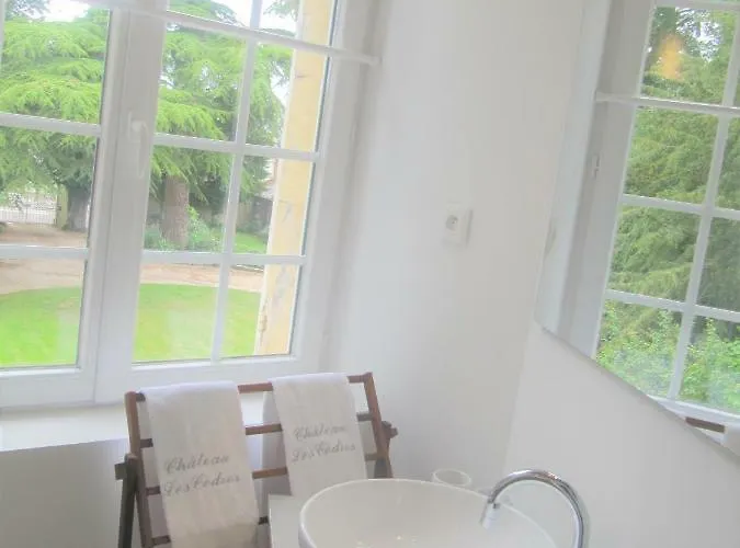 Chateau Les Cedres Отель типа 