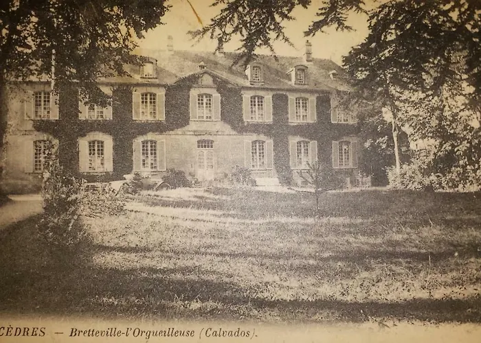 Chateau Les Cedres Отель типа 