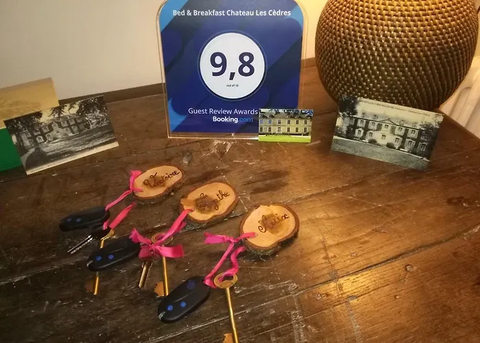 Chateau Les Cedres Отель типа 